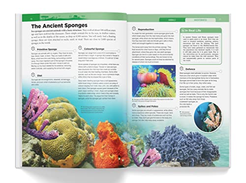 Knowledge Encyclopedia: Animals (Knowledge Encyclopedia For Children)