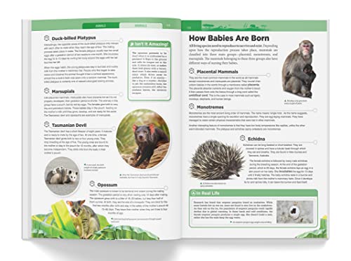 Knowledge Encyclopedia: Animals (Knowledge Encyclopedia For Children)