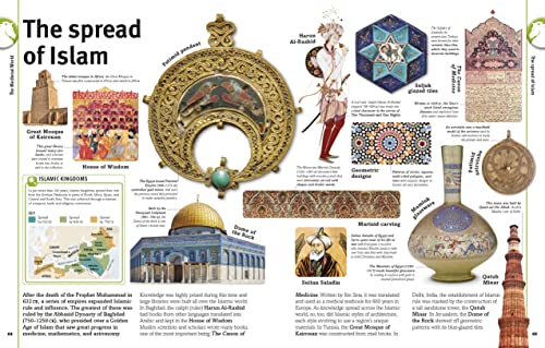 Our World in Pictures The History Book (DK Our World in Pictures)