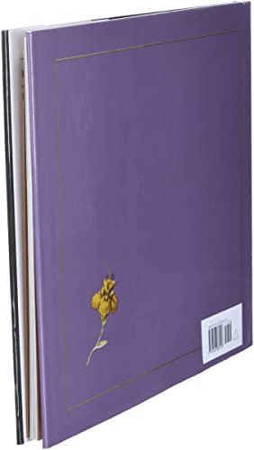The Twelve Dancing Princesses by Marianna Mayer & Kinuko Y. Craft
