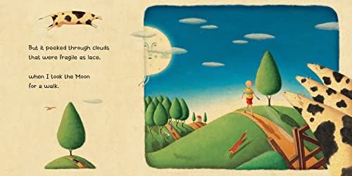 I Took the Moon for a Walk by Carolyn Curtis and Alison Jay