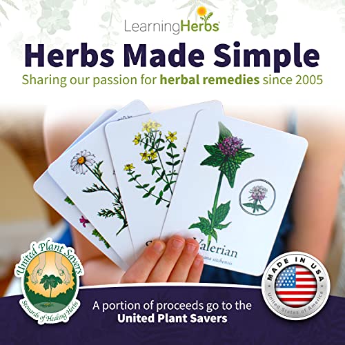 Wildcraft! Herbal Adventure Game: Learn 25 Herbs - Educational & Fun Co-op Board Game