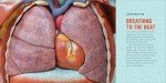Human Anatomy for Kids: A Junior Scientist's Guide to How We Move, Breathe, and Grow by Kristie Wagner