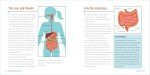 Human Anatomy for Kids: A Junior Scientist's Guide to How We Move, Breathe, and Grow by Kristie Wagner