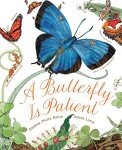 A Butterfly Is Patient by Dianna Hutts Aston & Sylvia Long (Award Winning)