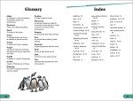 DK Super Readers Level 3 Wild Animal Groups