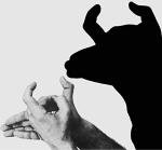 The Art of Hand Shadows (Dover Kids Activity Books) by Albert Almoznino