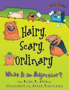 Hairy, Scary, Ordinary: What Is an Adjective? by Brian Cleary