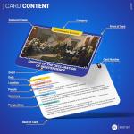 United States History Flash Cards – 75 US American Major Events & Milestones – AP Learning Resource for Studying, Government Teaching Aid Tool, Social Studies Civics Reference – Classroom & Homeschool