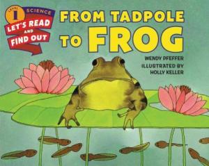 From Tadpole to Frog (Let's-Read-and-Find-Out Science 1)