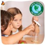 Butterfly Garden Kit with Live Caterpillars & STEM Journal
