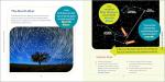 Constellations for Kids: An Easy Guide to Discovering the Stars