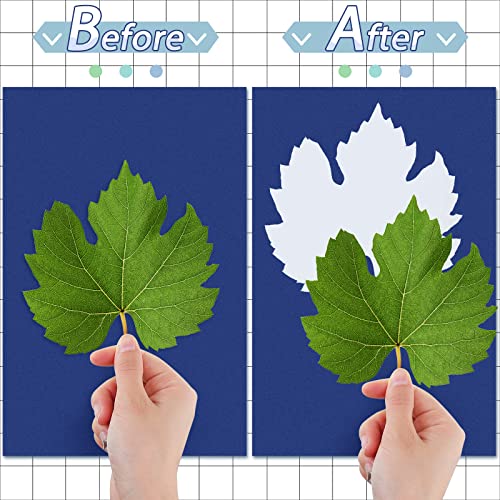 Cyanotype Sun Print Paper for Nature Art Crafts