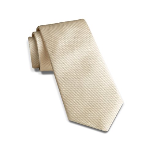David Donahue Italian Silk Champagne White Neck Tie