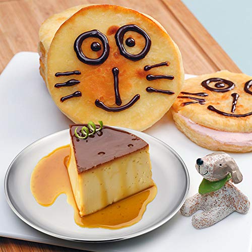 HaWare 6-Piece Stainless Steel Camping Plates, Kids-friendly