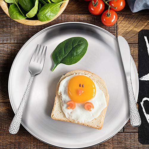 HaWare 6-Piece Stainless Steel Camping Plates, Kids-friendly