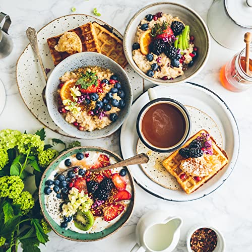 5 Enamel Plates, 9.5" Dinner Serving Platter Trays