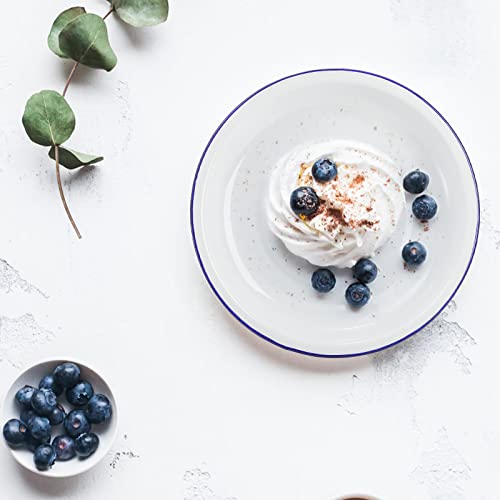 5 Enamel Plates, 9.5" Dinner Serving Platter Trays