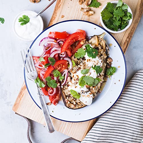 5 Enamel Plates, 9.5" Dinner Serving Platter Trays