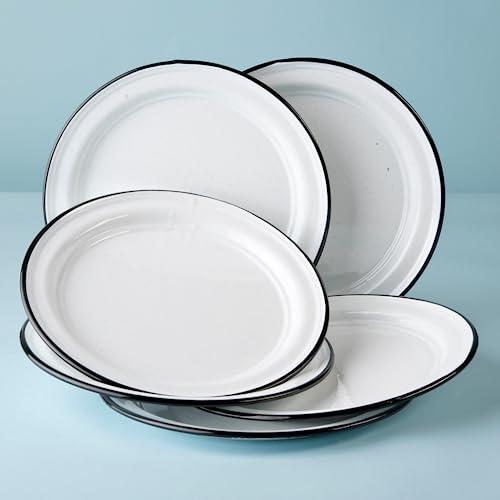 Speckled White 6-Piece Enameled Steel Plate Set 10