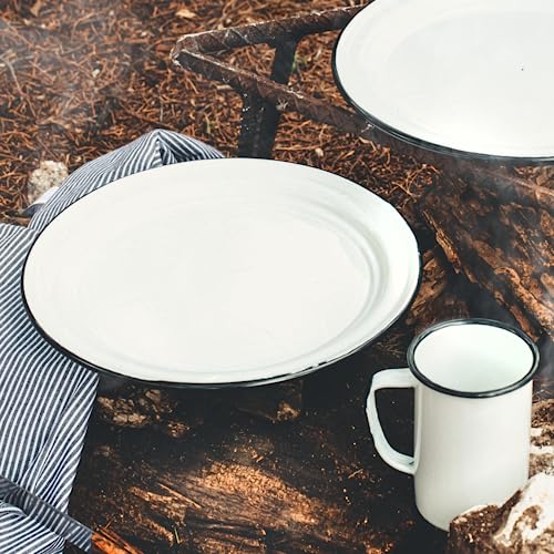 Speckled White 6-Piece Enameled Steel Plate Set 10
