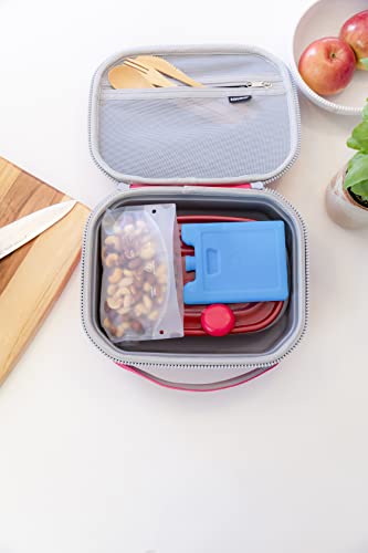 Igloo Maxcold Small Ice Block for Camping, Blue