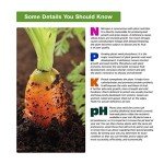 Soil Test Kit for Gardens and Lawns