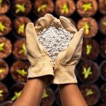Organic Perlite for Soil Mixes - 24 Qts