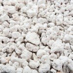 Organic Perlite for Soil Mixes - 24 Qts