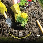 10-Piece Heavy Duty Gardening Tools Set with Bag