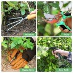 9-Piece Heavy Duty Gardening Tool Set with Organizer