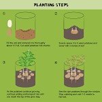 Homyhoo 10 Gallon Potato Grow Bags - 4 Pack