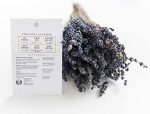 Organic Herb Seed Collection – 10 Non-GMO Packs