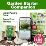 15 Culinary Herb Seeds - Heirloom Non-GMO Seeds