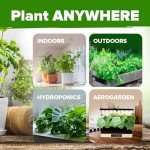 15 Culinary Herb Seeds - Heirloom Non-GMO Seeds