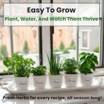 Herb Seeds Variety Kit: Oregano, Cilantro, Basil & More