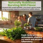 Herb Seeds Variety Kit: Oregano, Cilantro, Basil & More