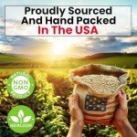 Herb Seeds Variety Kit: Oregano, Cilantro, Basil & More