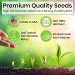 Herb Seeds Variety Kit: Oregano, Cilantro, Basil & More