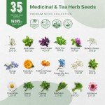 Deluxe Herb Seed Variety Pack for Indoor & Outdoor Gardening