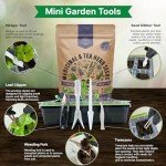 Deluxe Herb Seed Variety Pack for Indoor & Outdoor Gardening