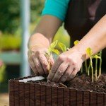 Sturdy Corrugated Metal Garden Edging - 6" x 50