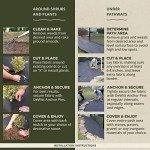 DeWitt Woven Landscape Fabric Ground Cover, 3' x 300