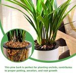 Organic Orchid Potting Bark - 9 qt Natural Mulch