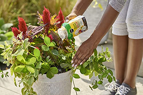 Miracle-Gro Plant Food Bundle for All-Purpose Gardening