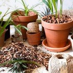 Organic Orchid Potting Bark - 9 qt Natural Mulch