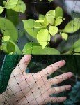 Feitore 7x100 Feet Deer and Bird Protection Netting