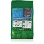 Scotts Turf Builder Lawn Food for All Grass