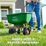 Scotts Turf Builder Lawn Food for All Grass