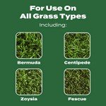 Scotts Turf Builder Lawn Food for All Grass